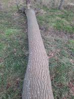 Eikenhout brandhout, Ophalen of Verzenden, 250 cm of meer, Balken