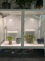 Greenhouse + groeilampen en ventilatoren, Tuin en Terras, Kweekspullen, Ophalen, Zo goed als nieuw, Kweekkast