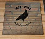 Pv Zwarte Doffer, Dieren en Toebehoren, Vogels | Duiven, Mannelijk, Kropper