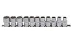 DOPPENSET 1/2" 10-21 MM 12-KANT 11-DELIG, Auto diversen, Autogereedschap, Ophalen of Verzenden, Nieuw