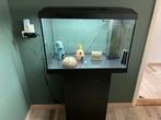 Juwel aqaurium, Dieren en Toebehoren, Vissen | Aquaria en Toebehoren, Ophalen of Verzenden