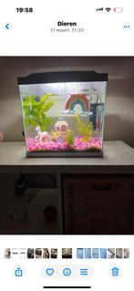 30 liter aquarium, Dieren en Toebehoren, Vissen | Aquaria en Toebehoren, Ophalen of Verzenden, Zo goed als nieuw, Leeg aquarium