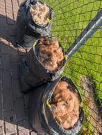 Mooie alpacawol diverse kleuren schering 2025, Hobby en Vrije tijd, Spinnewielen en Spinnen, Ophalen, Spinwol
