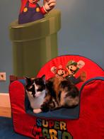 Lieve 1,5 jarige poes zoekt forever home, Dieren en Toebehoren, Poes, Kortharig, 0 tot 2 jaar