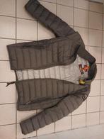 Parajumpers, Kleding | Heren, Jassen | Zomer, Ophalen, Parajumpers, Zo goed als nieuw, Groen