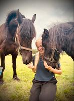 Gezocht mede ruiter buitenrit, Dieren en Toebehoren, Paarden en Pony's | Verzorgingsproducten, Ophalen of Verzenden, Zo goed als nieuw