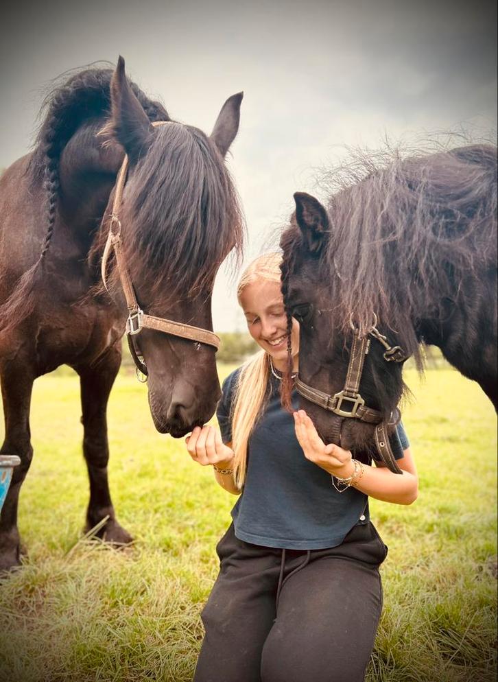 Gezocht mede ruiter buitenrit, Dieren en Toebehoren, Paarden en Pony's | Verzorgingsproducten, Zo goed als nieuw, Ophalen of Verzenden