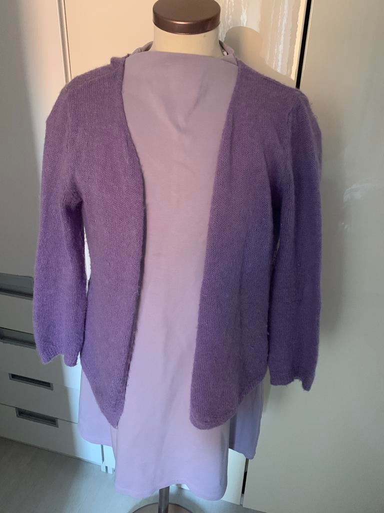 Vestjes, truien en tops maat S/M voor 3,50 per stuk, Ophalen of Verzenden, Zo goed als nieuw, Maat 38/40 (M), Paars