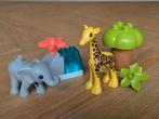 Duplo Wilde dieren van Afrika 10971, Ophalen, Gebruikt