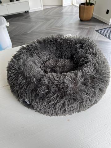 Honden/kattenmand beschikbaar voor biedingen