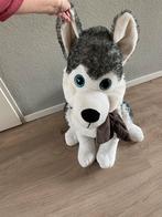 Knuffel Hond - Husky 75 cm, Ophalen, Zo goed als nieuw, Hond