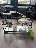 Hamsterkooi, Kooi, Gebruikt, Minder dan 75 cm, Hamster