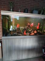 Aquatlantis fusion 150, Ophalen, Gebruikt, Gevuld zoetwateraquarium