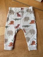 Broekje maat 74 dierenprint joggingbroek jogger jogging, Kinderen en Baby's, Babykleding | Maat 74, C&A, Broekje, Jongetje of Meisje