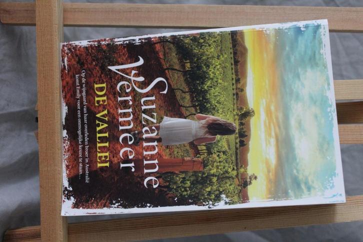 De Vallei - Suzanne Vermeer, Boeken, Romans, Zo goed als nieuw, Ophalen