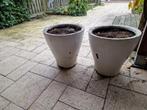 Bloempotten, Ophalen, Tuin, Kunststof, Gebruikt