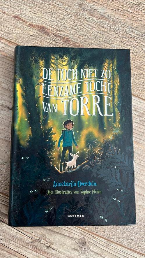 De toch niet zo eenzame tocht van Torre, Boeken, Kinderboeken | Jeugd | 10 tot 12 jaar, Zo goed als nieuw, Ophalen of Verzenden