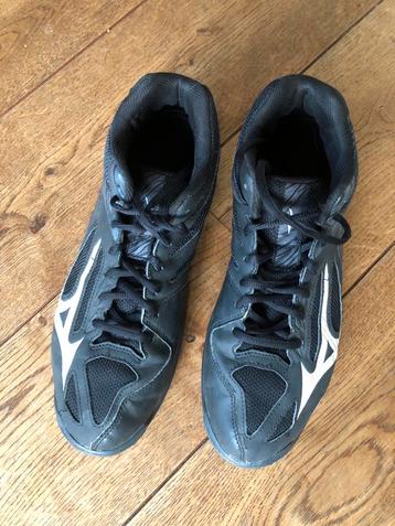 Mizuno Korfbalschoenen Maat 42,5 beschikbaar voor biedingen