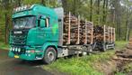 Rondhout - stammen - brandhout, Tuin en Terras, Haardhout, 6 m³ of meer, Ophalen of Verzenden, Overige houtsoorten, Stammen