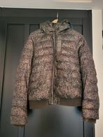 Winterjas G-Star, Kleding | Dames, Jassen | Winter, Gedragen, Maat 38/40 (M), Ophalen of Verzenden, G-star