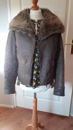 Leren Superstar Jas mt S (nieuwprijs was€199,00), Bruin, Ophalen of Verzenden, Zo goed als nieuw, Maat 36 (S)