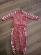 Adidas trainingspak kids meisje maat 4-5Y, Kinderen en Baby's, Ophalen of Verzenden, Zo goed als nieuw, Adidas, Meisje