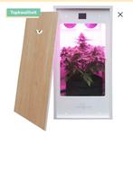Mini grow kweekkast, Tuin en Terras, Kweekspullen, Ophalen of Verzenden, Nieuw, Kweektent
