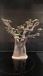 Schleich Afrika: Baobab Boom Compleet, Ophalen of Verzenden, Zo goed als nieuw, Paard, Beeldje of Figuurtje