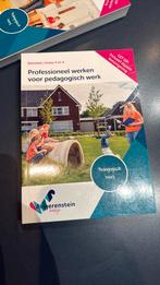 Professioneel werken voor pedagogisch werk, Boeken, Overige vakken, Boom, Ophalen of Verzenden, Zo goed als nieuw