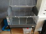 Cavia kooi, Ophalen, Kooi, Gebruikt, 60 tot 90 cm
