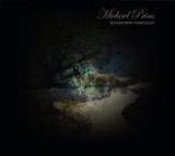Michael Prins, Cd's en Dvd's, Cd's | Pop, Zo goed als nieuw, Ophalen of Verzenden