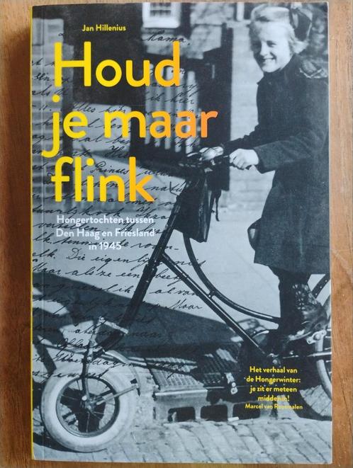 Jan Hillenius - Houd je maar flink, Boeken, Overige Boeken, Zo goed als nieuw, Ophalen of Verzenden