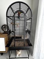Vogelkooi merk: Keddoc, Papegaai