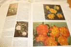 boek - alles over rozen met mooie foto`s, Frans H. Wegman, Ophalen of Verzenden, Zo goed als nieuw, Tuinieren en Tuinplanten