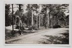 Zuidlaren - In het Zuidlaarderbosch, Verzamelen, Ansichtkaarten | Nederland, 1940 tot 1960, Gelopen, Drenthe, Verzenden