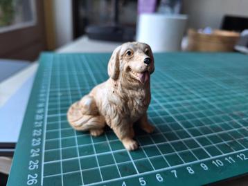 blonde langharige hond beschikbaar voor biedingen