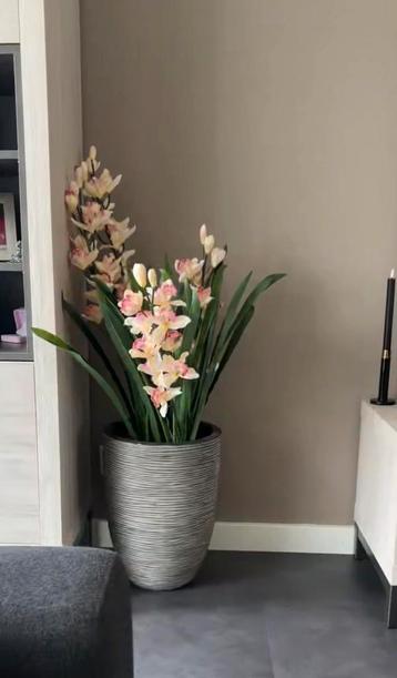 Kunstplant beschikbaar voor biedingen