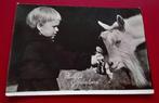 1956: fotokaart van kind met geit  "Hartelijk gefeliciteerd", Ophalen of Verzenden, 1940 tot 1960, Gelopen, Feest(dag)