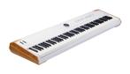 Arturia AstroLab 88, Muziek en Instrumenten, Synthesizers, Overige merken, 88 toetsen, Nieuw, Ophalen of Verzenden
