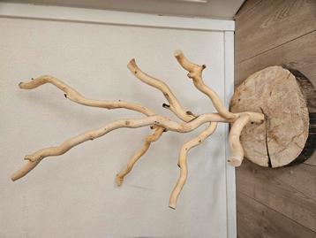 Nieuwe speelboom  beschikbaar voor biedingen
