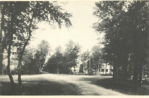 (387-248-015) Ermelo Viersprong Julianalaan, Verzamelen, Ansichtkaarten | Nederland, Gelderland, Verzenden