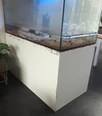 Zee aquarium, Dieren en Toebehoren, Vissen | Aquaria en Toebehoren, Ophalen, Gebruikt, Leeg aquarium