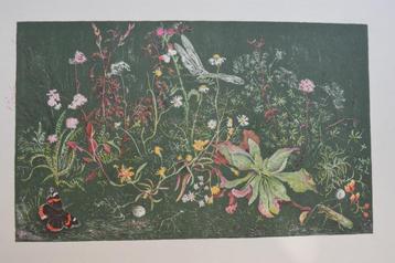 WIM SCHUHMACHER PLANTJES Litho 1947 Schildersprent SP28 beschikbaar voor biedingen