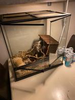 Terarium, Dieren en Toebehoren, Reptielen en Amfibieën | Toebehoren, Ophalen of Verzenden, Zo goed als nieuw