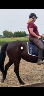 Dressuurzadel KM 17,5 inch luxemodel, Dieren en Toebehoren, Paarden en Pony's | Zadels, Ophalen of Verzenden, Zo goed als nieuw