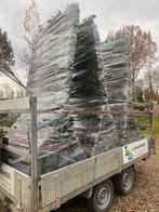 Hedera kant en klaar schermen kompleet met palen te leveren, Ophalen of Verzenden, Overige soorten, 100 tot 250 cm