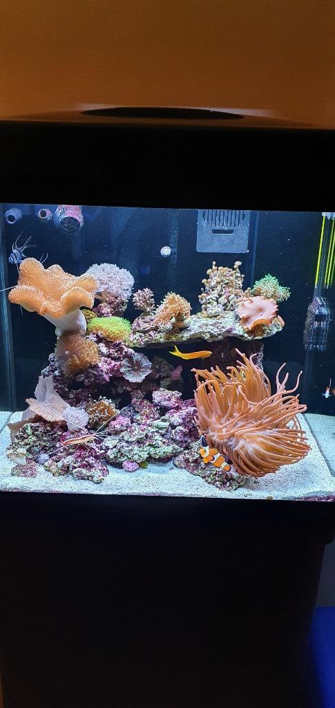 Zeeaquarium red sea 130D, all in one aquarium, Dieren en Toebehoren, Vissen | Aquaria en Toebehoren, Gebruikt, Leeg aquarium, Ophalen