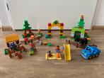 LEGO Duplo Het Grote Bos (10584), Ophalen, Zo goed als nieuw, Complete set, Duplo