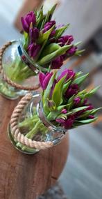 Nanny aan huis 👶, Oppas aan huis