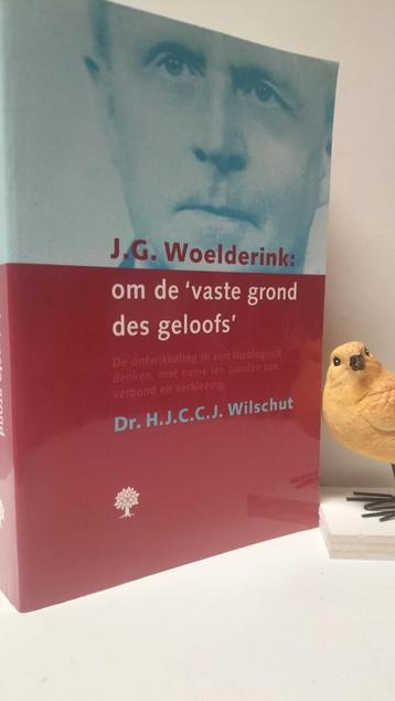 Wilschut, Dr. H.J.C.C.j.;  J.G. Woelderink:  om de ‘vaste gr beschikbaar voor biedingen